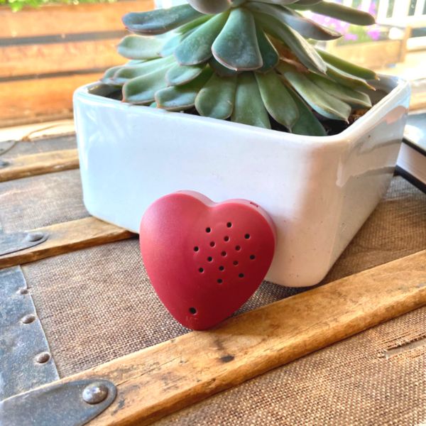 Un coeur enregistreur est posé sur une malle ancienne. Il est posé contre un petit pot de fleur blanc carré avec une plante grasse verte. Coté recto, on voit de petits trous noirs en haut a droite du coeur qui correspondent au haut parleur du coeur enregistreur. Un point noir unique en bas du coeur correspond au micro du coeur enregistreur. Coeur enregistreur Youyou Doudou photo personnalisé enfant doudou parent papa maman famille bebe fille garcon jouet doudou calin réconfort message mots doux