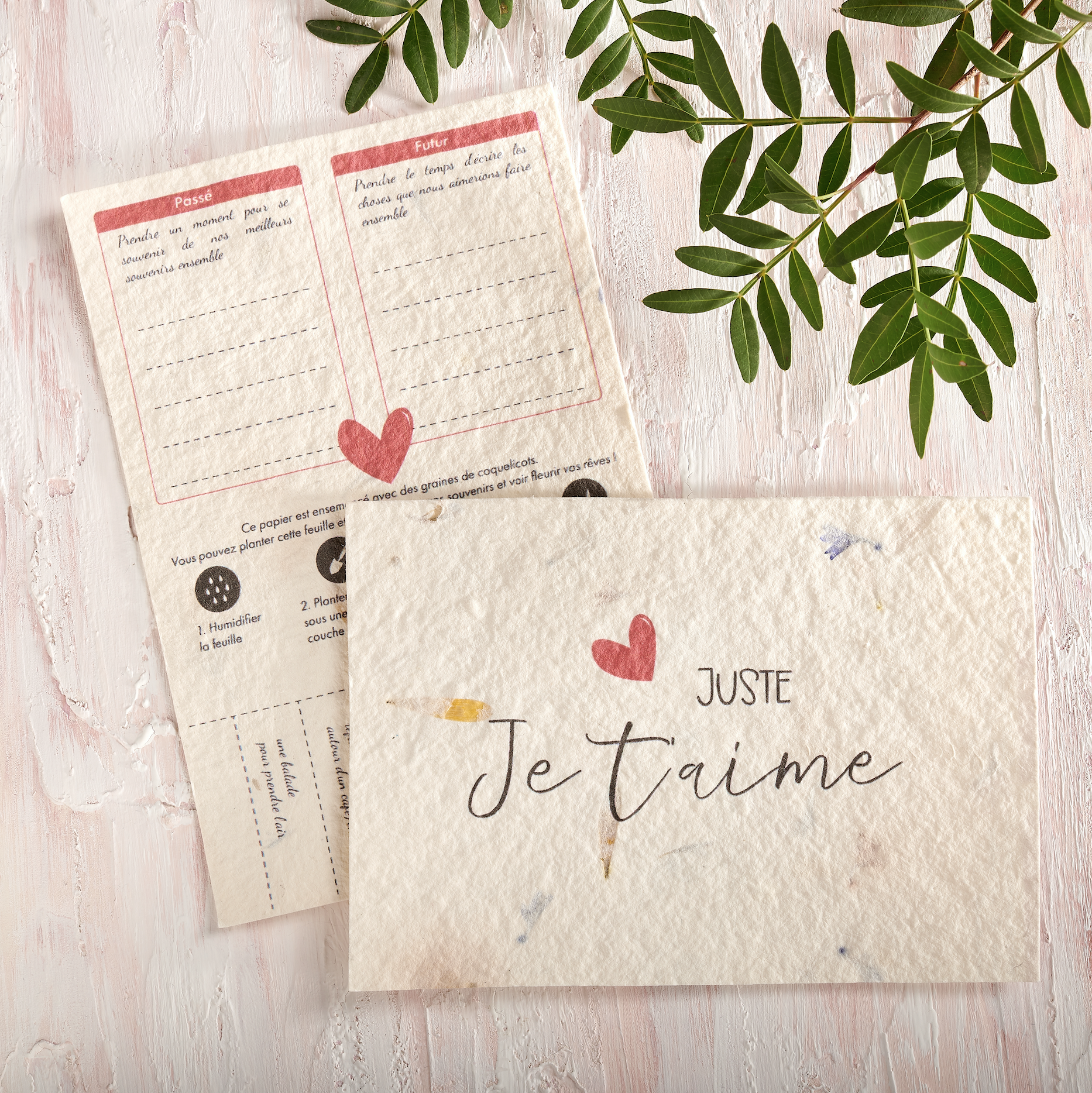 Carte ensemencee Saint Valentin