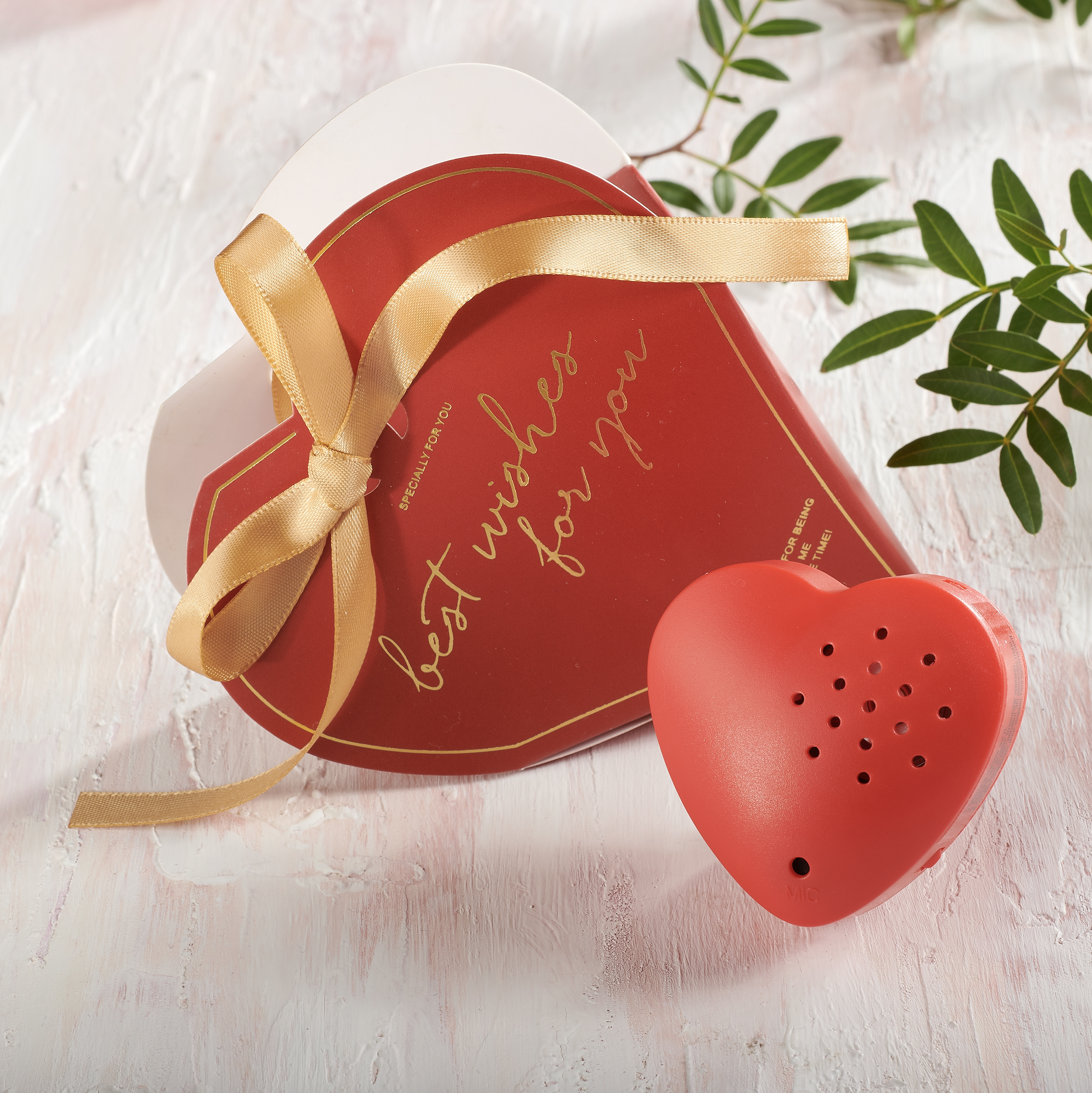 Coeur enregistreur Saint Valentin